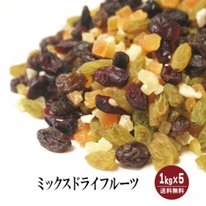 ミックスドライフルーツ　1kg×5袋 宅配便 送料無料 レーズン クランベリー パパイヤ パイナップル おやつ 製菓材料 製パン材料 鉄分 食