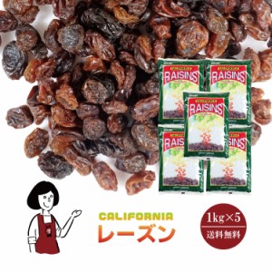 レーズン　1kg×5 宅配便 送料無料 カリフォルニア産 葡萄 干しぶどう 常備食 甘味料 おやつ 製菓材料 製パン材料 こわけや