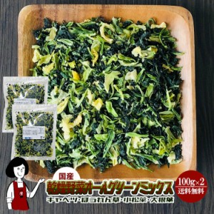 乾燥野菜オールグリーンミックス100g×2（計200g）〔チャック付〕／国産  乾燥野菜 キャベツ ほうれん草 小松菜 大根葉 メール便 送料無