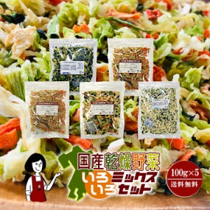 乾燥野菜いろいろミックスセット各100g×5(計500g)／国産 宅配便 送料無料 チャック付   ボイル済み ドライベジ 保存食 時間短縮 ミック