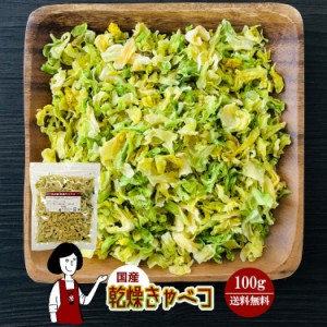 乾燥キャベツ100g〔チャック付〕／国産  乾燥野菜 きゃべつ メール便 送料無料 チャック付   ボイル済み ドライベジ アウトドア キャンプ