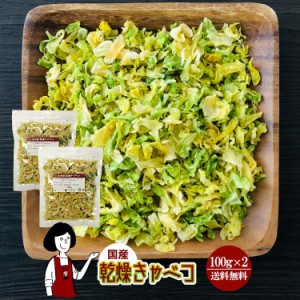 乾燥キャベツ100g×2(計200g)〔チャック付〕／国産  乾燥野菜 きゃべつ メール便 送料無料 チャック付   ボイル済み ドライベジ アウトド