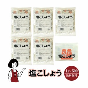 マルニ 塩こしょう　1g×500袋　宅配便 送料無料 小袋 使いきり 調味料 塩 白こしょう 胡椒 アウトドア お弁当 イベント 洋食 肉料理 野