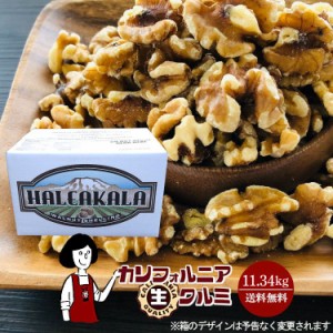 カリフォルニア生クルミ　11.34kg 宅配便 送料無料 無添加 無塩 無油 LHP ポリフェノール 食物繊維 ナッツ クルミパン ハニーナッツ キャ