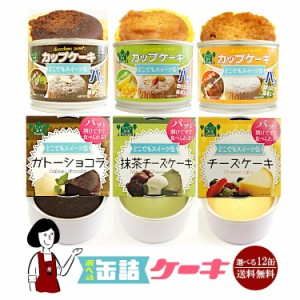 6種類から12缶選べる缶詰ケーキ／防災食 非常食 災害備蓄用 長期保存 震災用 ローリングストック おやつ お菓子 甘味 アウトドア 山食 間