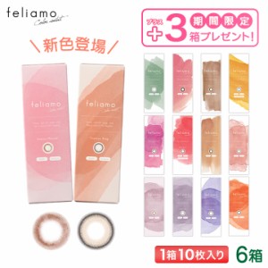 【3箱無料！9箱セット】 feliamo フェリアモ カラコン 10枚入り 6+3箱  (白石麻衣 まいやん UVカット 一日使い捨て ワンデー 1day )