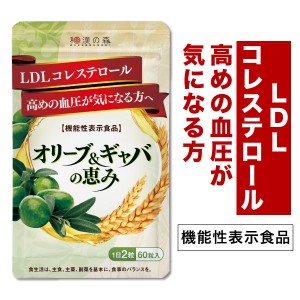 血圧 サプリ コレステロール ギャバ ストレス サプリ 食べ物 オリーブ 下げる 60粒 和漢の森 サプリメント LDLコレステロール 悪玉コレス