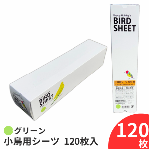 小鳥用シーツ 120枚 グリーン 鳥 シート 小鳥 鳥用 シーツ 120枚入 鳥用品 鳥 グッズ インコ 文鳥 小鳥 掃除用シーツ ペットシーツ ペッ