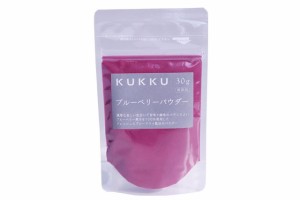 ブルーベリーパウダー　30g/フルーツパウダー