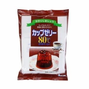 カップゼリー　コーヒー　500g(100g×5）かんてんぱぱ　