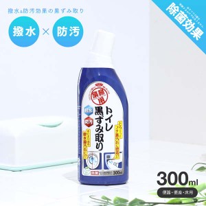 業務用 トイレ黒ずみ取り 300ml 1009109 トイレ掃除 トイレ用洗剤 便器用