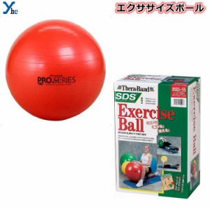 ディーエム D&M エクササイズボール 55cm ボディーケア トレーニング リハビリ パワーUP フィットネス SDS55