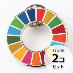 国連ガイドライン対応 SDGs ピンバッジ バッチ バッヂ 1個からまとめ買いまで (平らタイプ2個)
