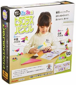 2D3D脳ピタゴラス(R)パズル(中古品)