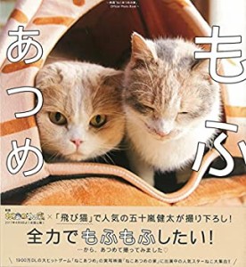 もふあつめ ~映画「ねこあつめの家」Official Photo Book~(中古品)