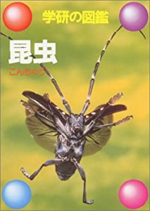 昆虫 (学研の図鑑)(中古品)