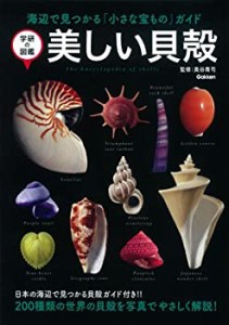 美しい貝殻 (学研の図鑑)(中古品)