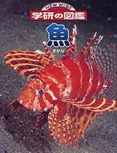 魚 (ニューワイド学研の図鑑)(中古品)