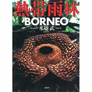 熱帯雨林BORNEO (クォークスペシャル)(中古品)