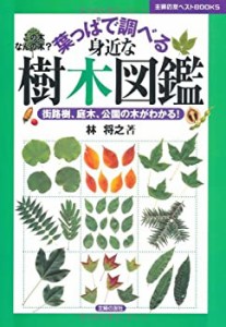 葉っぱで調べる身近な樹木図鑑―街路樹、庭木、公園の木がわかる! (主婦の (中古品)