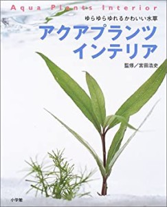 アクアプランツインテリア―ゆらゆらゆれるかわいい水草(中古品)