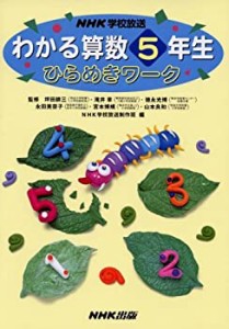 NHK学校放送わかる算数5年生ひらめきワーク(中古品)