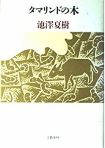 タマリンドの木(中古品)