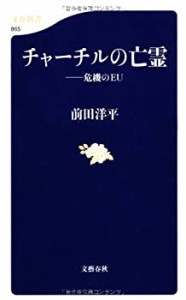 チャーチルの亡霊: ――危機のEU (文春新書)(中古品)