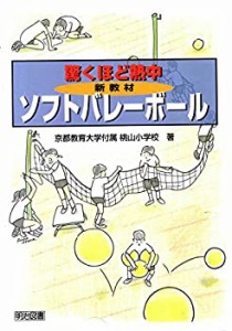 驚くほど熱中 新教材ソフトバレーボール(中古品)