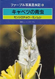 キャベツの青虫 (ファーブル写真昆虫記)(中古品)