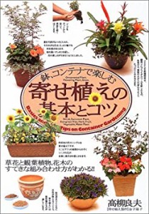 鉢、コンテナで楽しむ寄せ植えの基本とコツ(中古品)