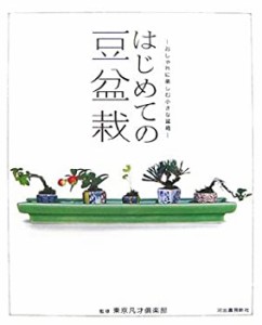 はじめての豆盆栽 気軽に楽しむ小さな盆栽(中古品)