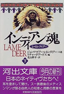 インディアン魂―レイム・ディアー〈下〉 (河出文庫)(中古品)