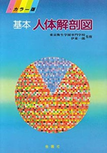 基本人体解剖図(中古品)