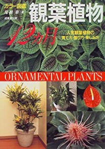 観葉植物12カ月—人気観葉植物の育て方・飾り方・楽しみ方 (カラー図鑑シリ(中古品)