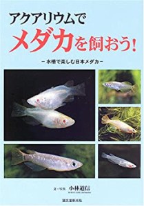 アクアリウムでメダカを飼おう!(中古品)