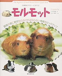 モルモット (小動物ビギナーズガイド)(未使用 未開封の中古品)