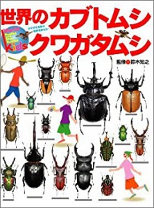 世界のカブトムシ・クワガタムシ (別冊家庭画報)(中古品)