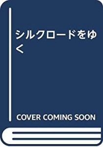 シルクロードをゆく(中古品)