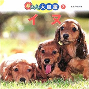 超はっけん大図鑑〈7〉イヌ (超はっけん大図鑑 7)(中古品)