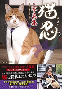 猫忍写真集(中古品)