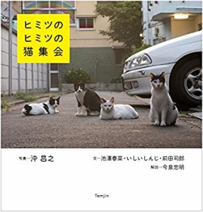 ヒミツのヒミツの猫集会(中古品)