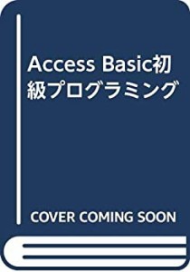 Access Basic初級プログラミング(中古品)