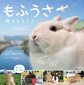 もふうさ 旅するうさぎ(中古品)