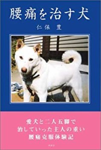 腰痛を治す犬(中古品)