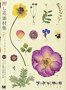 押し花 素材集(中古品)