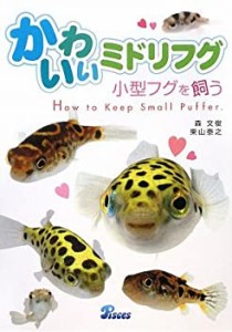 かわいいミドリフグ―小型フグを飼う(中古品)