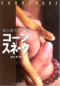 はじめてのヘビ コーンスネーク(中古品)