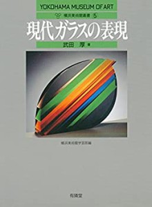 現代ガラスの表現 (横浜美術館叢書5)(中古品)