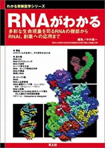 RNAがわかる―多彩な生命現象を司るRNAの機能からRNAi%ｶﾝﾏ%創薬への応用ま (中古品)